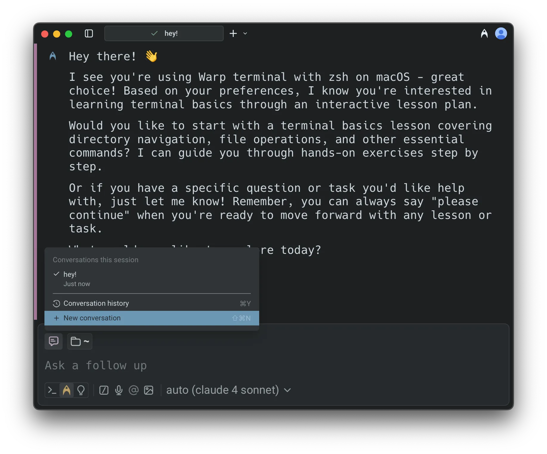 Starting a new Agent Conversation in agent conversation view